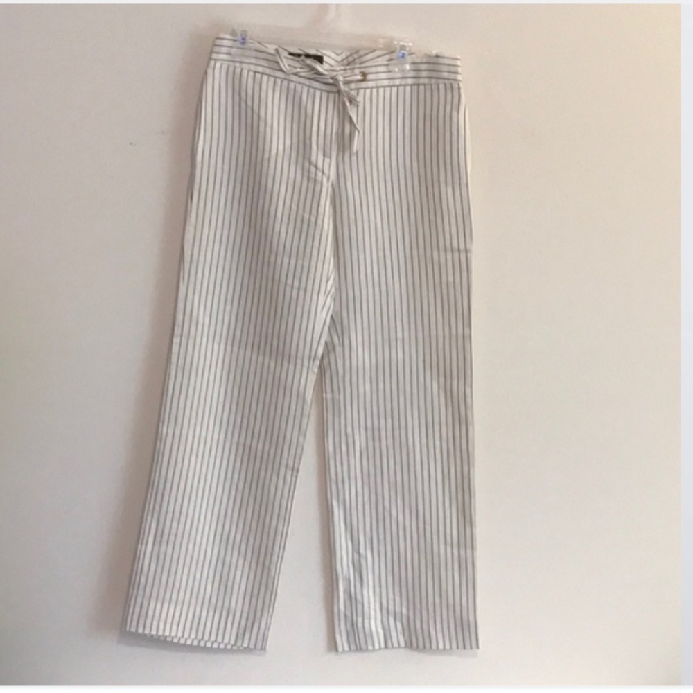 Lora Piana pin stripe pants nwot